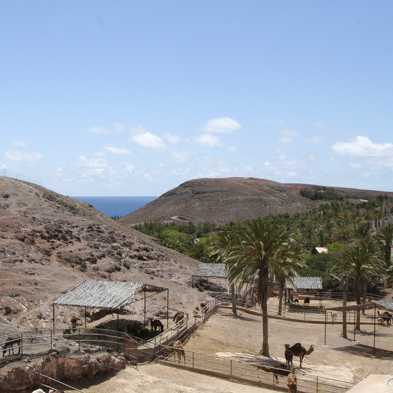 Fuerteventura 2011