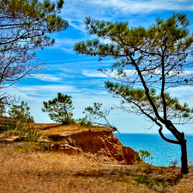 Algarve 2025