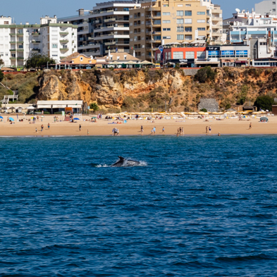 Algarve 2025