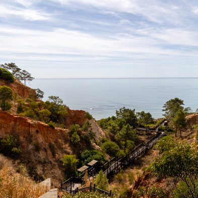Algarve 2025