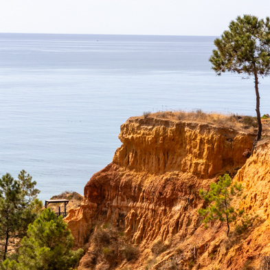 Algarve 2025