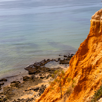 Algarve 2025