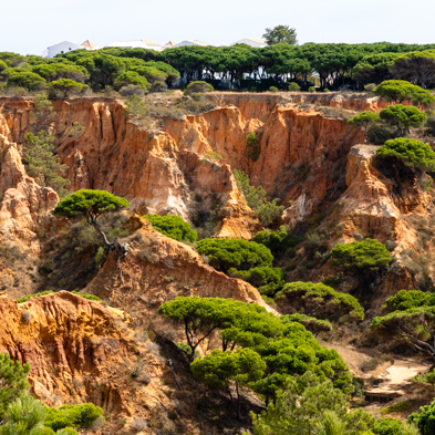 Algarve 2025