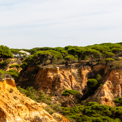 Algarve 2025