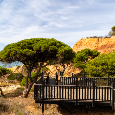 Algarve 2025