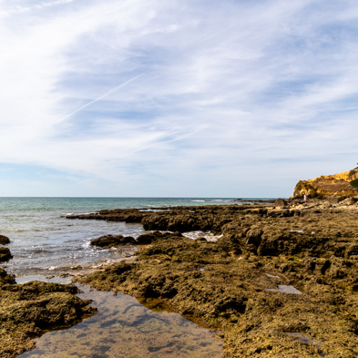 Algarve 2025