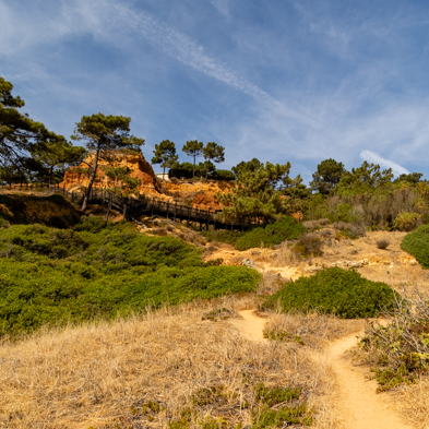 Algarve 2025