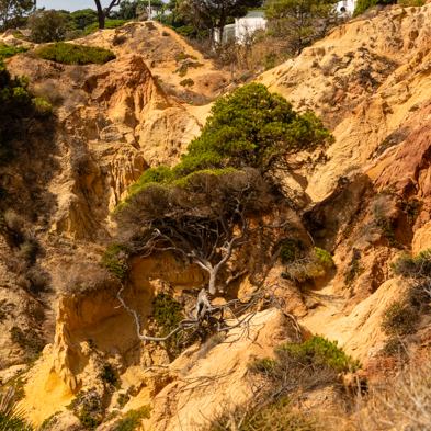 Algarve 2025