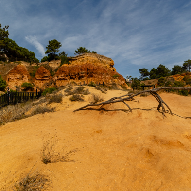 Algarve 2025
