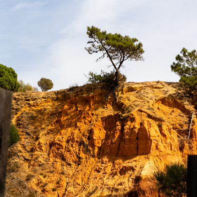 Algarve 2025