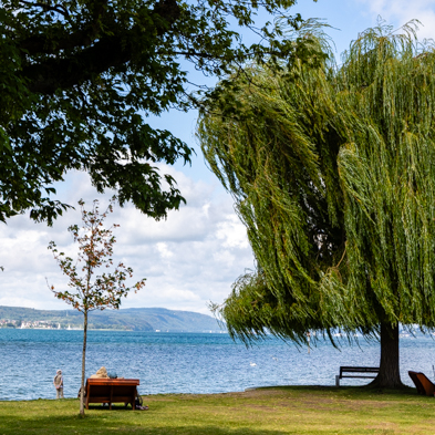 Bodensee 2026