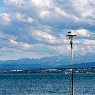 Bodensee 2026